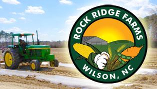 Rock Ridge Farms